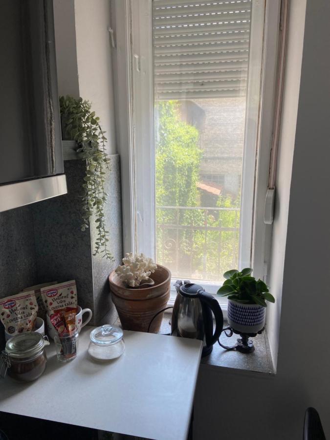 Pure Of Joy City Centre Apartment 苏博蒂察 外观 照片